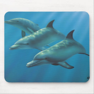 Tapis De Souris Dauphins par Andrew Patsalou