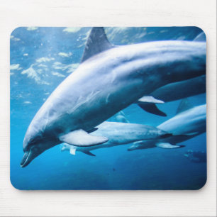 Tapis De Souris Dauphins sous-marins