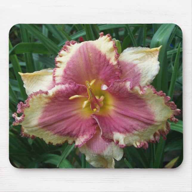 Tapis De Souris Daylily observé par rose Mousepad (Devant)