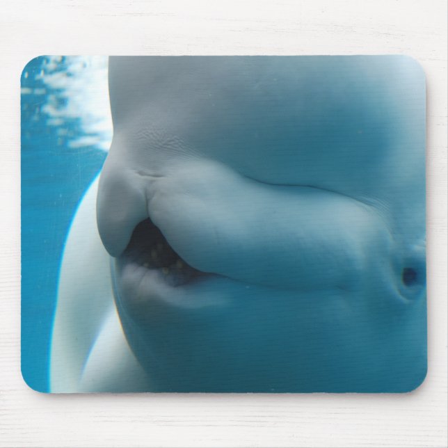 Tapis de souris de baleine de beluga (Devant)