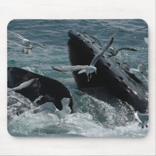 Tapis de souris de baleine de bosse