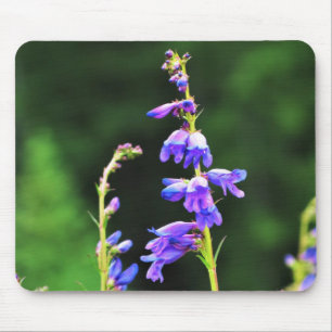 Tapis De Souris De beaux Fleurs sauvages violets fleurissent au Ca