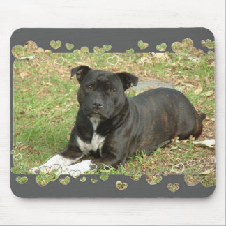 Tapis de souris de bull-terrier du Staffordshire