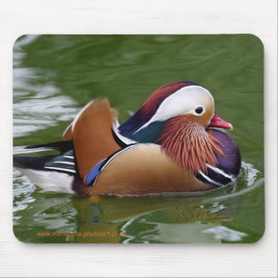 Tapis de souris de canard de mandarine