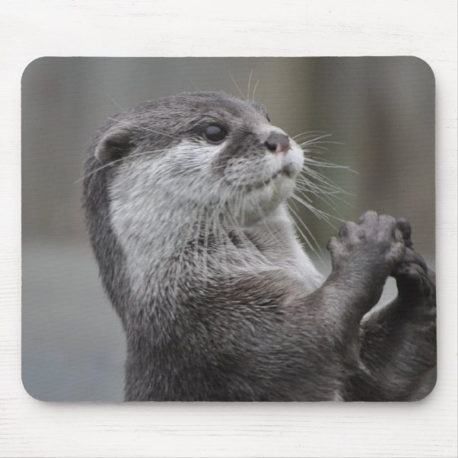 Tapis de souris de cerveau de loutre (Devant)