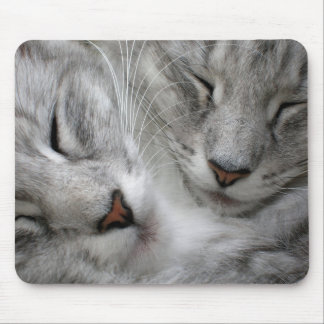 Tapis de souris de chat de forêt