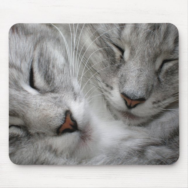 Tapis de souris de chat de forêt (Devant)