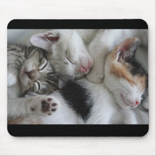 Tapis de souris de chatons de sommeil