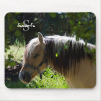 Tapis de souris de cheval