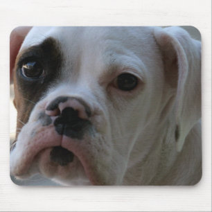 Tapis de souris de chien de boxeur observé par
