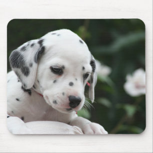 Tapis de souris de chiot dalmatien amour