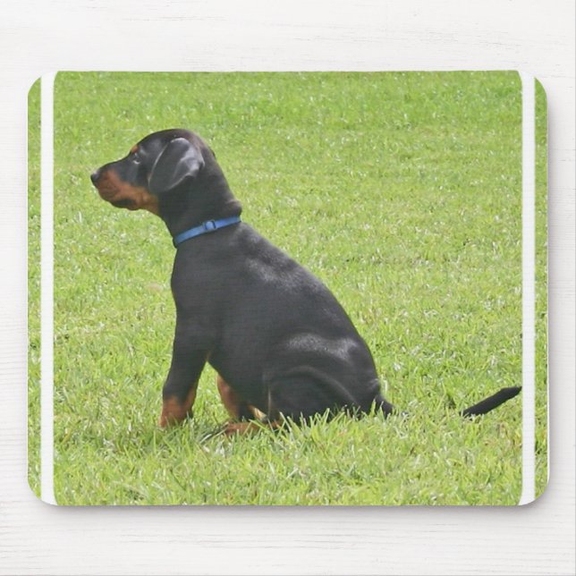 Tapis de souris de chiot de Pinscher de dobermann (Devant)