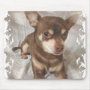 Tapis de souris de chiwawa