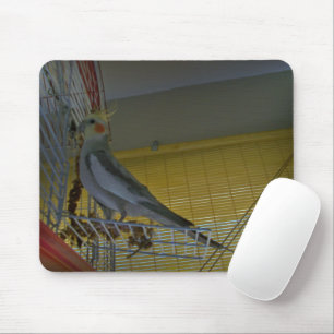 Tapis de souris de cockatiel