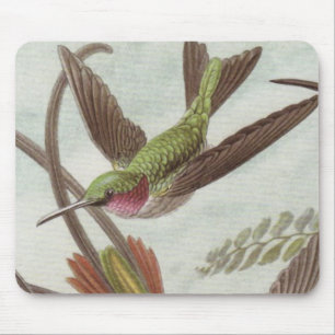 Tapis de souris de colibri d'Ernst Haeckel
