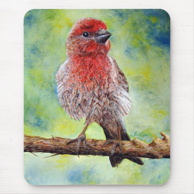 Tapis de souris de Finchy (Devant)