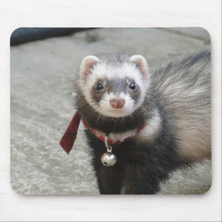 tapis de souris de furet