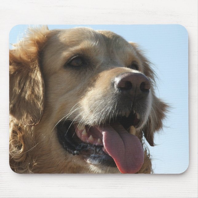 Tapis de souris de golden retriever (Devant)