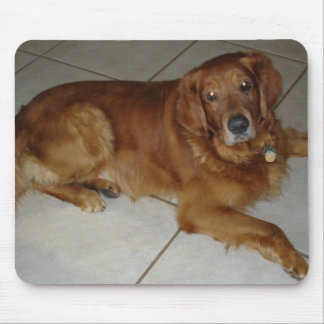 Tapis de souris de golden retriever