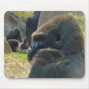 Tapis de souris de gorille