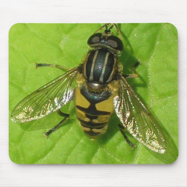 Tapis de souris de Hoverfly (Devant)