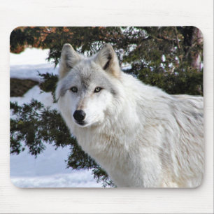 tapis de souris de loup