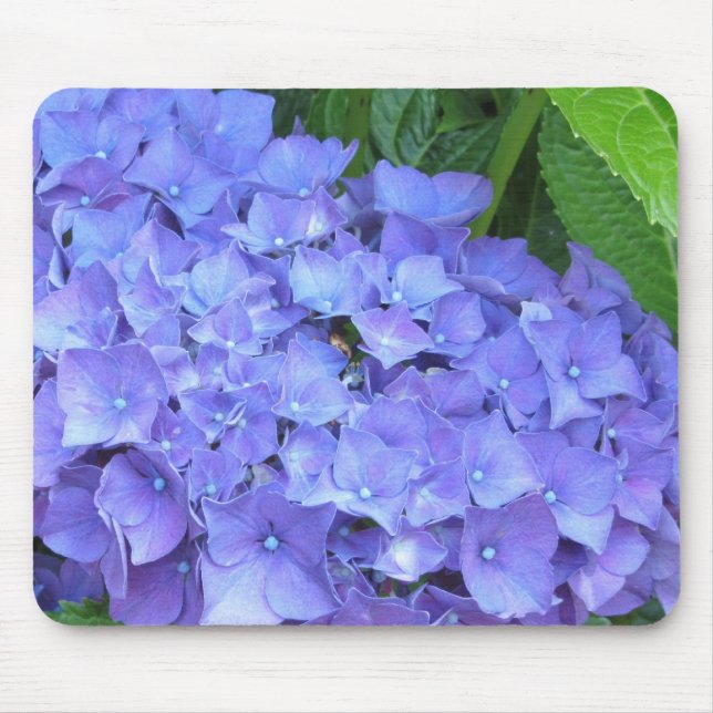 Tapis De Souris De magnifiques hortensias violets (Devant)