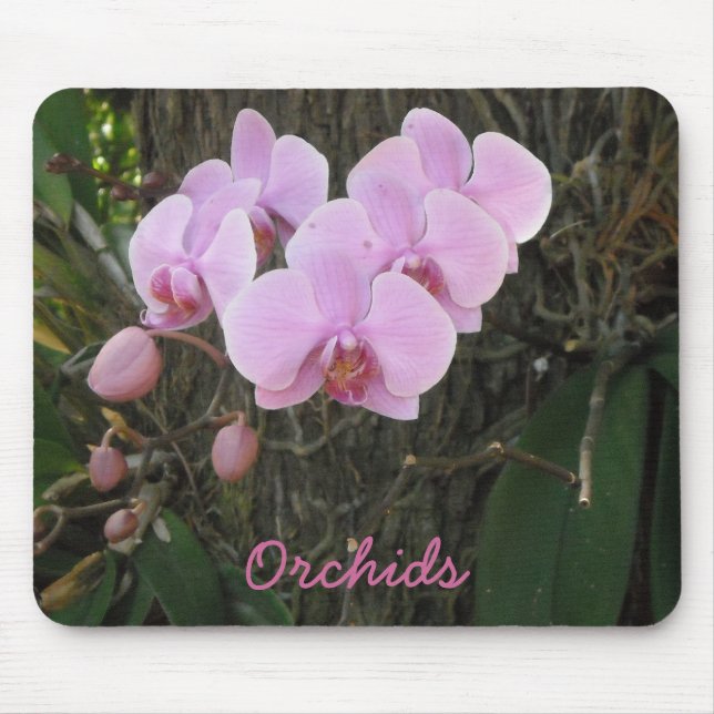 Tapis De Souris De magnifiques orchidées (Devant)