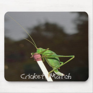 Tapis de souris de match de cricket