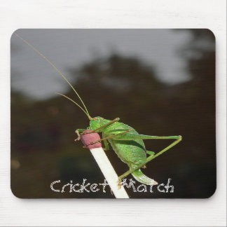 Tapis de souris de match de cricket