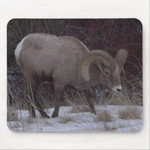 Tapis de souris de moutons de Big Horn