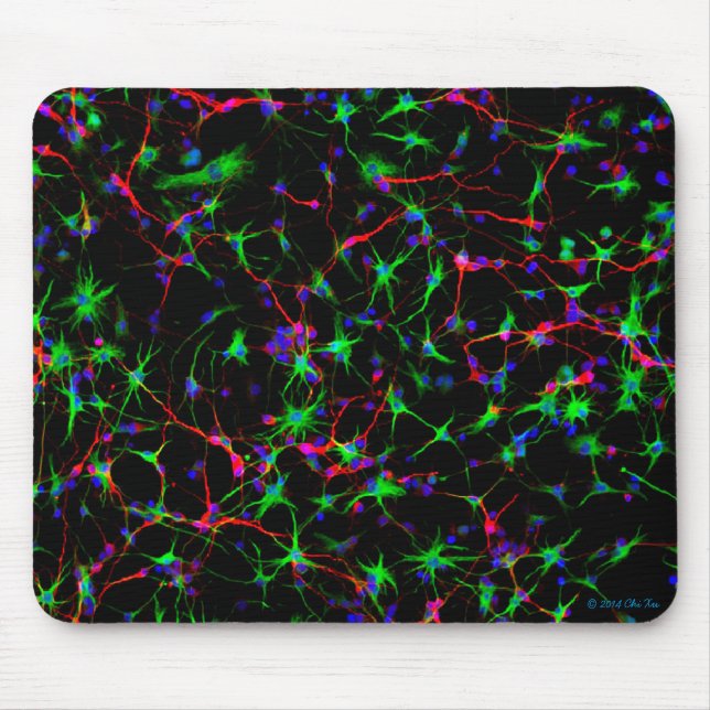 Tapis de souris de neurologie (Devant)