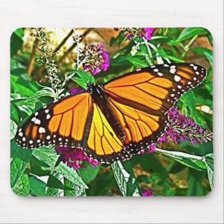 Tapis de souris de papillon de monarque
