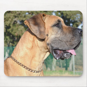 Tapis de souris de photo de great dane