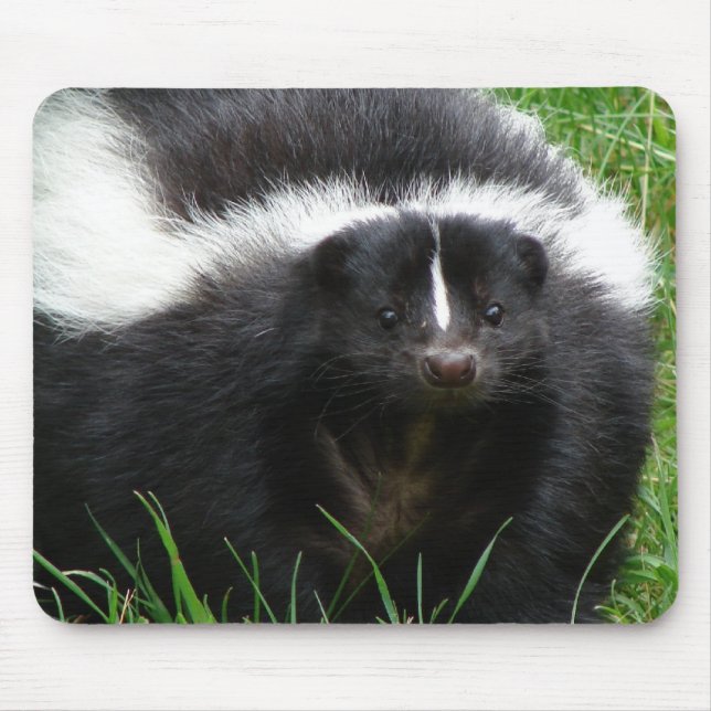 Tapis de souris de photo de mouffette (Devant)