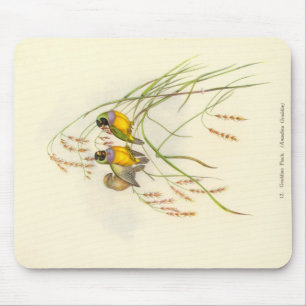 Tapis de souris de pinson de Gould - de Gouldian