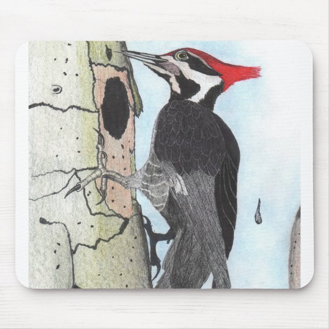 Tapis de souris de pivert de Pileated (Devant)