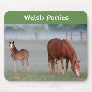 Tapis de souris de poney de gallois