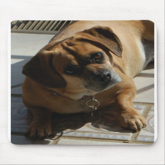 Tapis de souris de Puggle