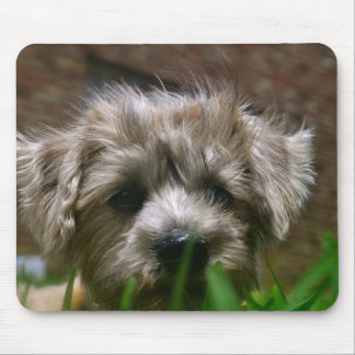 Tapis de souris de Pupppy