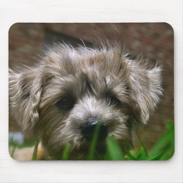 Tapis de souris de Pupppy (Devant)