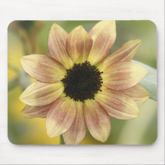 Tapis de souris de rouille de tournesol