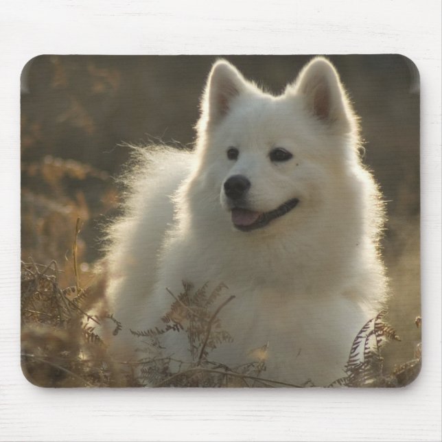 Tapis de souris de Samoyed (Devant)