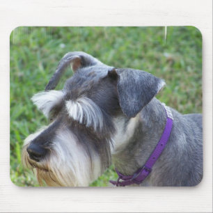 Tapis de souris de Schnauzer