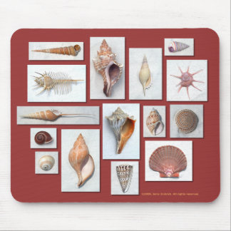 Tapis de souris de Shell de mer