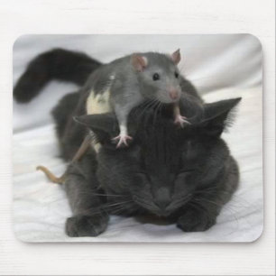 Tapis de souris de souris et de chat