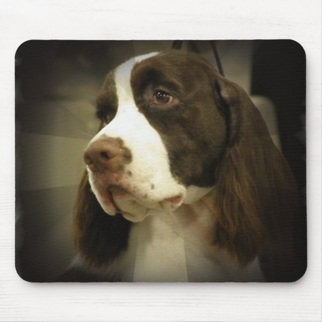 Tapis de souris de springer spaniel (Devant)