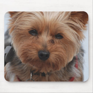 Tapis de souris de Yorkie