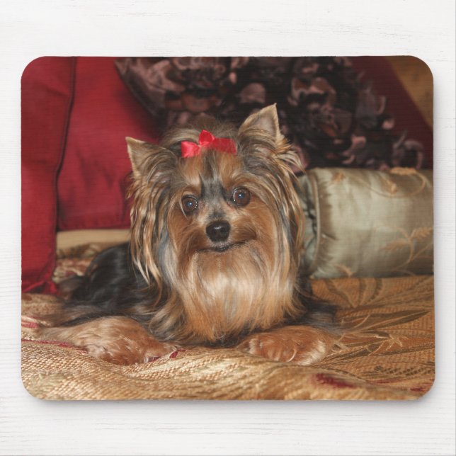 Tapis de souris de Yorkie (Devant)