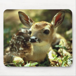 Tapis De Souris Deer Fawn